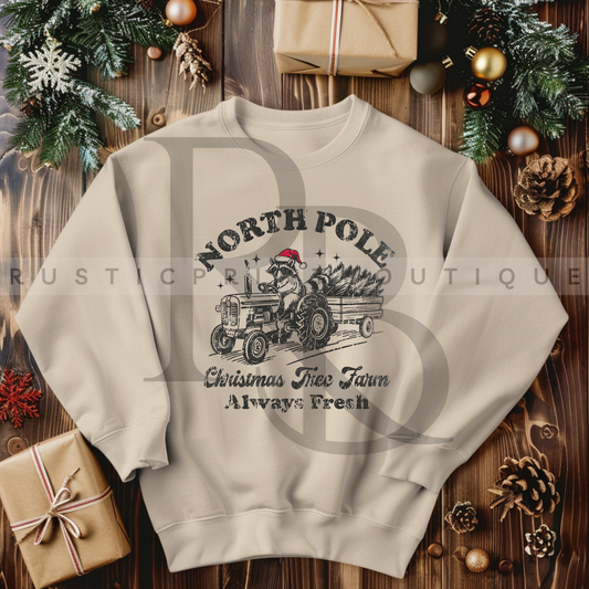 Christmas Crewneck North Pole Sweatshirt Christmas Santa Crewneck