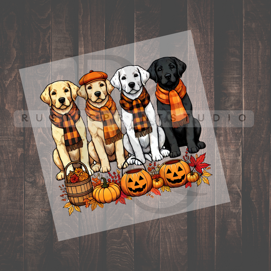 Thanksgiving Golden Retriever Direct to Film | Ready to Press Heat Transfer DTF | Holiday DTF