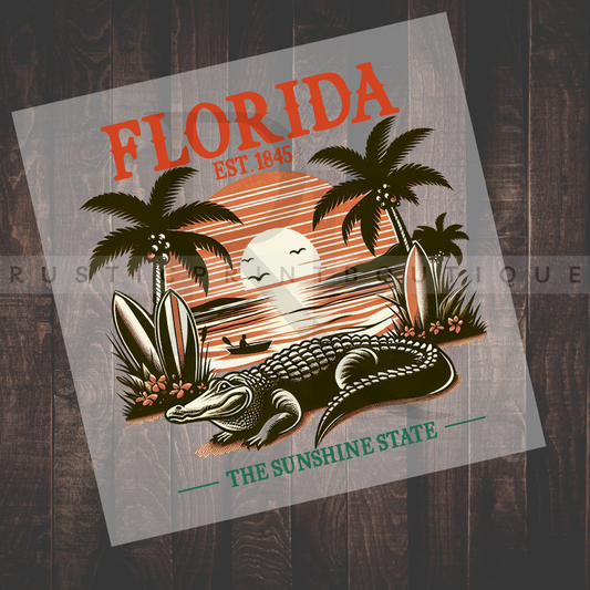 Florida DTF Custom DTF Transfer Vintage Apparel DTF