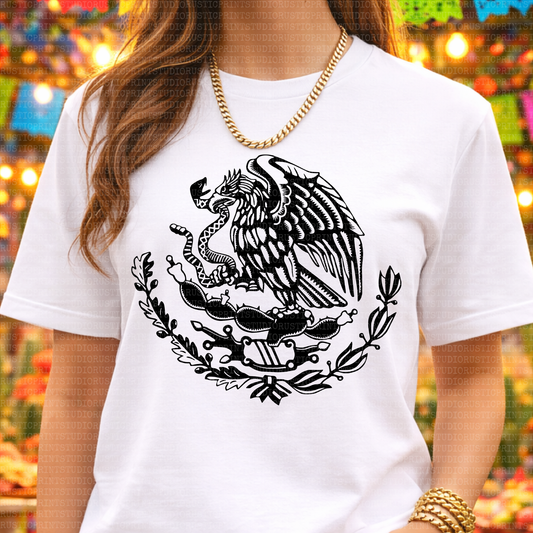 Unisex Graphic Tee Cinco De Mayo T-Shirt Mexican Flag Shirt